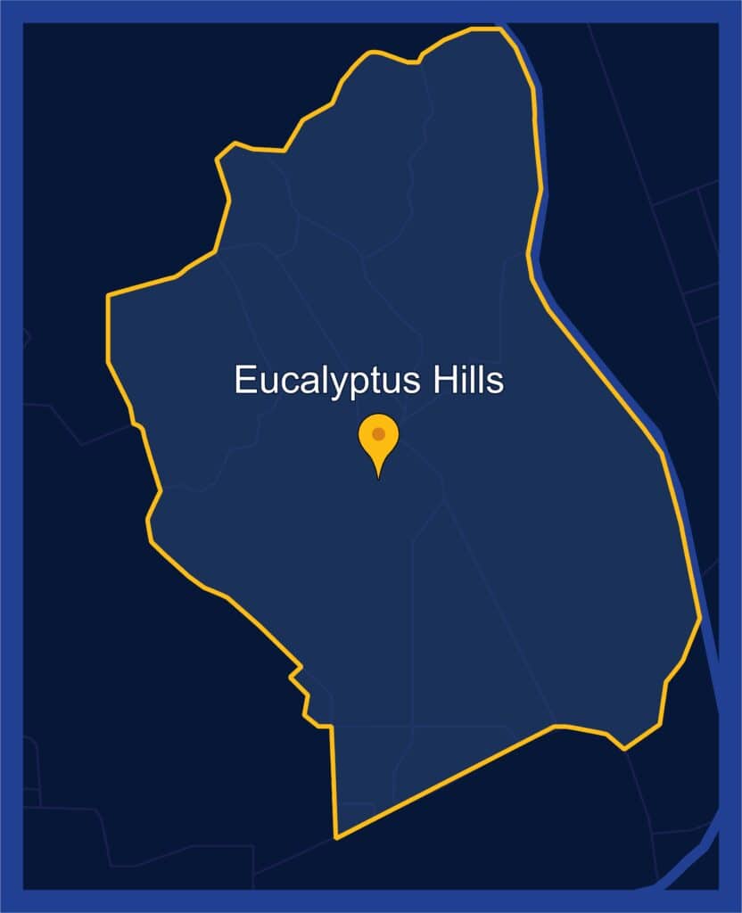 sign-company-eucalyptus-hills-1 | Eucalyptus Hills California Custom Design Business Signs Wraps Sign Services