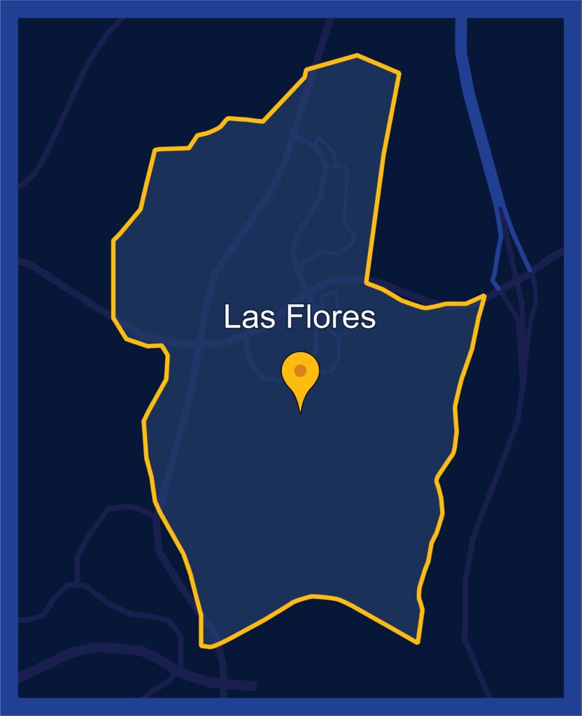 Las Flores California Custom Design Business Signs Wraps Sign Services