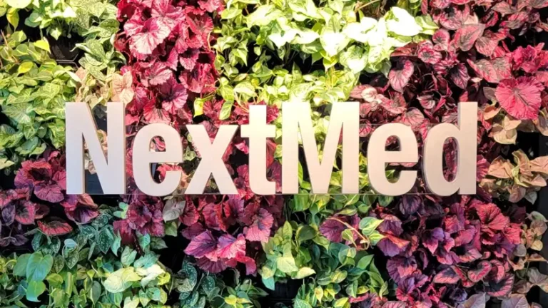 Nextmed living wall Floating logo in front of a live wall